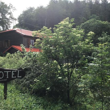 Hotel Restaurant La Fourmi Bourbach-le-Haut Εξωτερικό φωτογραφία